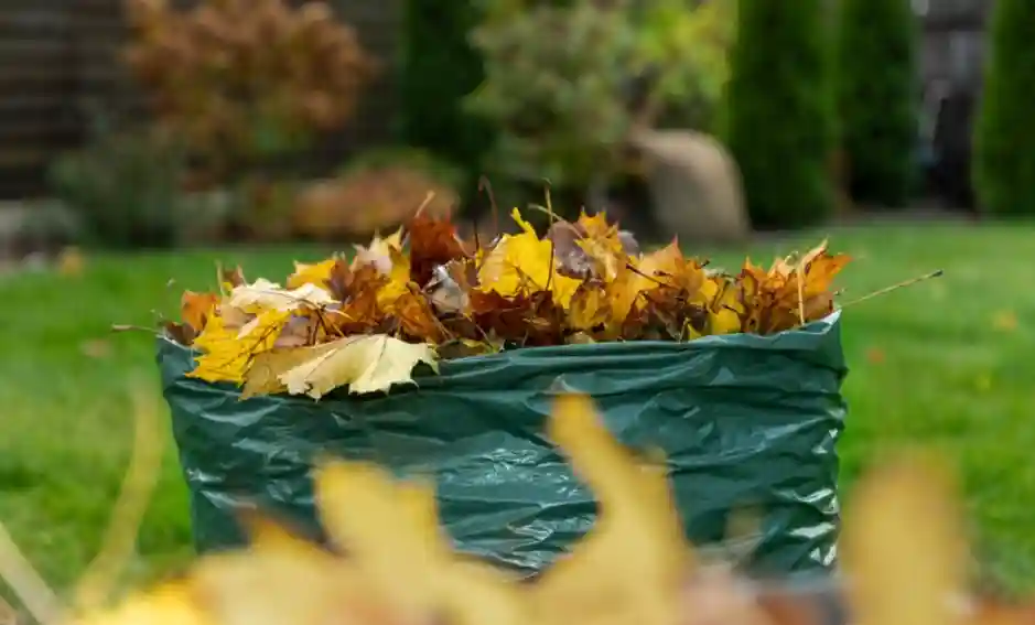 Entsorgung von Gartenabfall